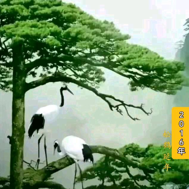 静水深流