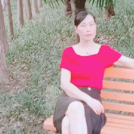 柿柿如意