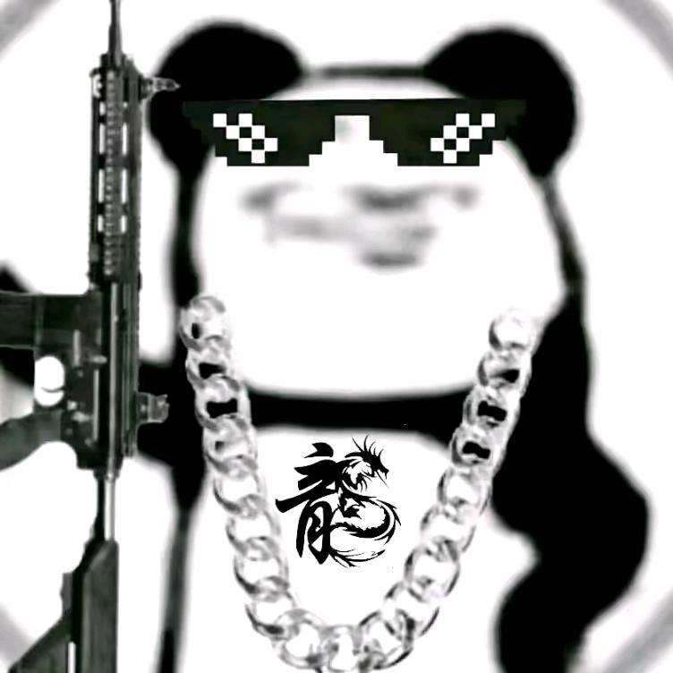 许洛辰头像