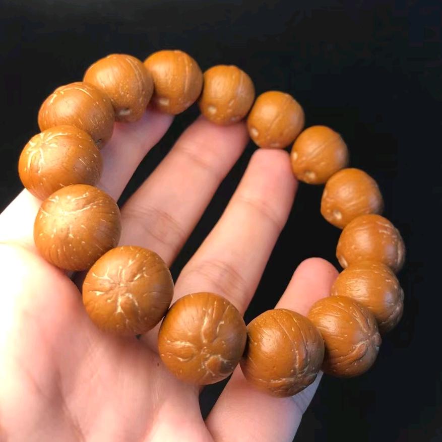 依家紫金鼠菩提