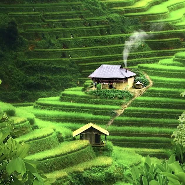 ☆四༄海༈为༅家♡