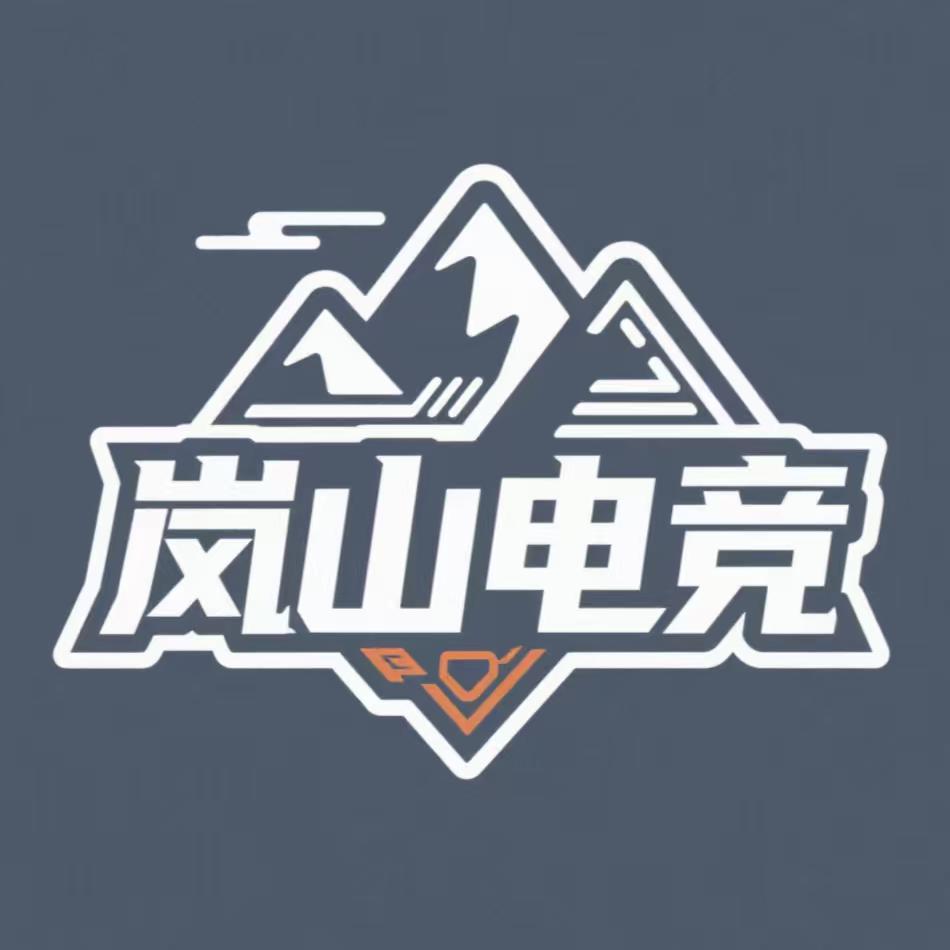 岚山电竞（三角洲行动缺pc高玩）