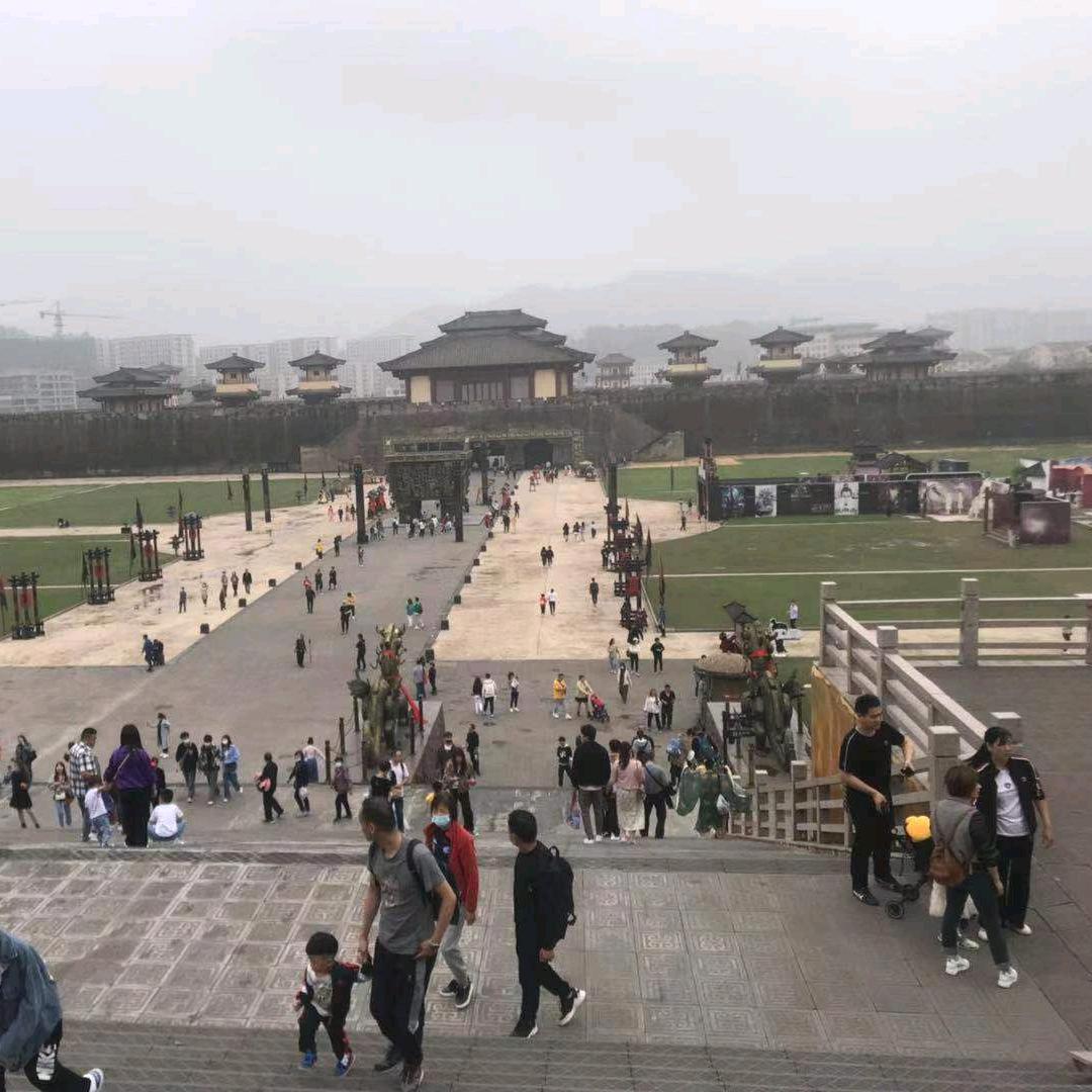 向山虎