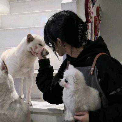 程子皮皮