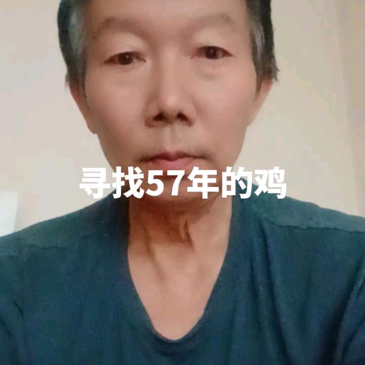 维维
