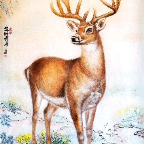 我叫小云朵