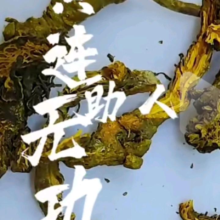 太平洋