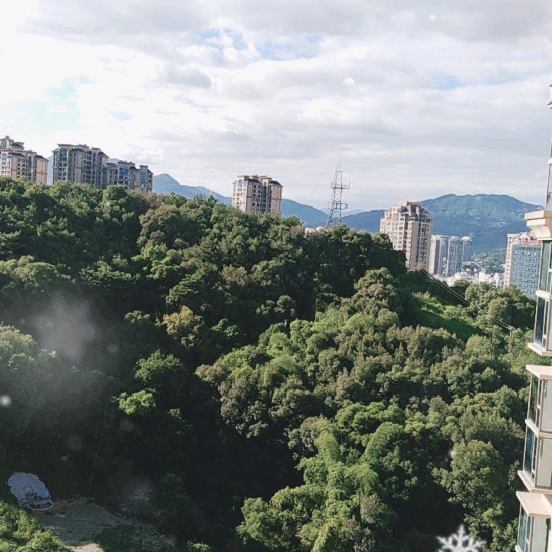 柏杨阳车享汇