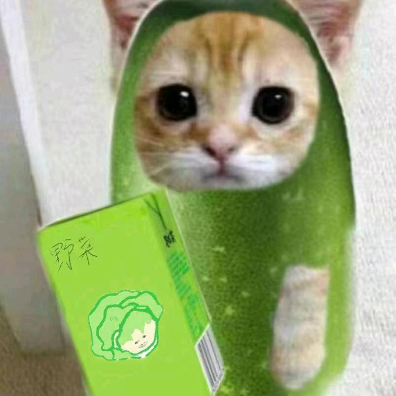 摆摊野菜头像