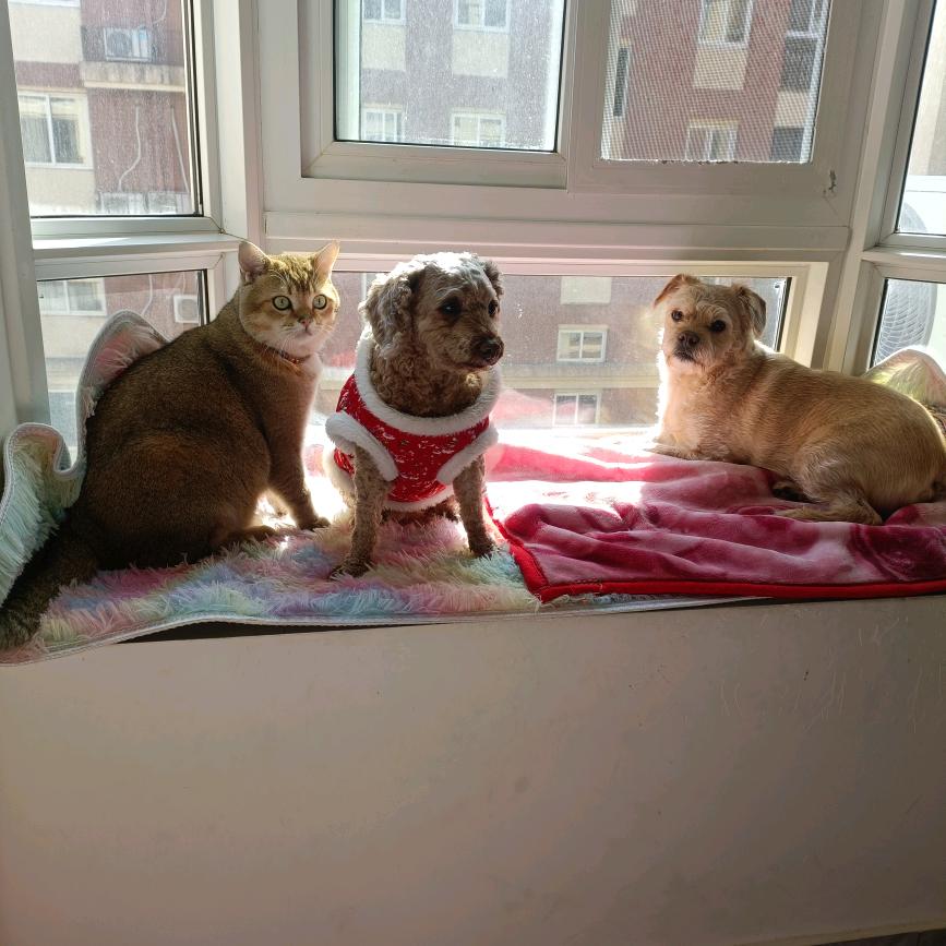 一生相伴🐯🐷