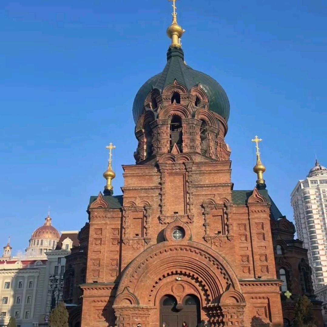 经典犀牛袜业🦏