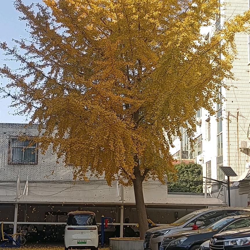 会会