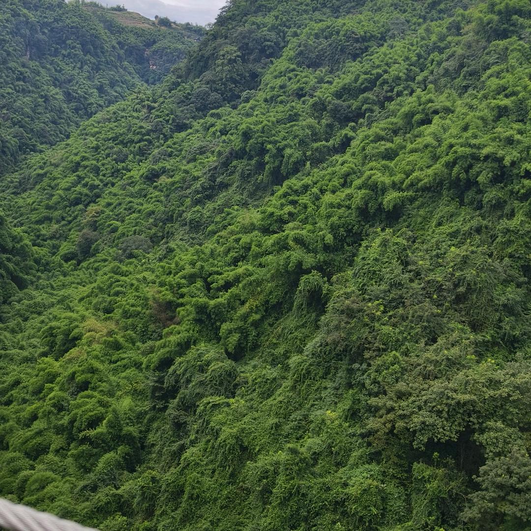 小春姐🈶💰🌹🌹🌹