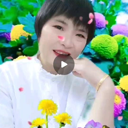 美丽花丛