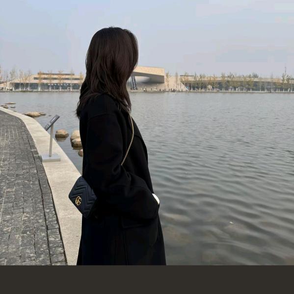 🦄.兜兜只揣9.9🐬