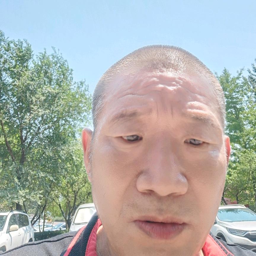 书生