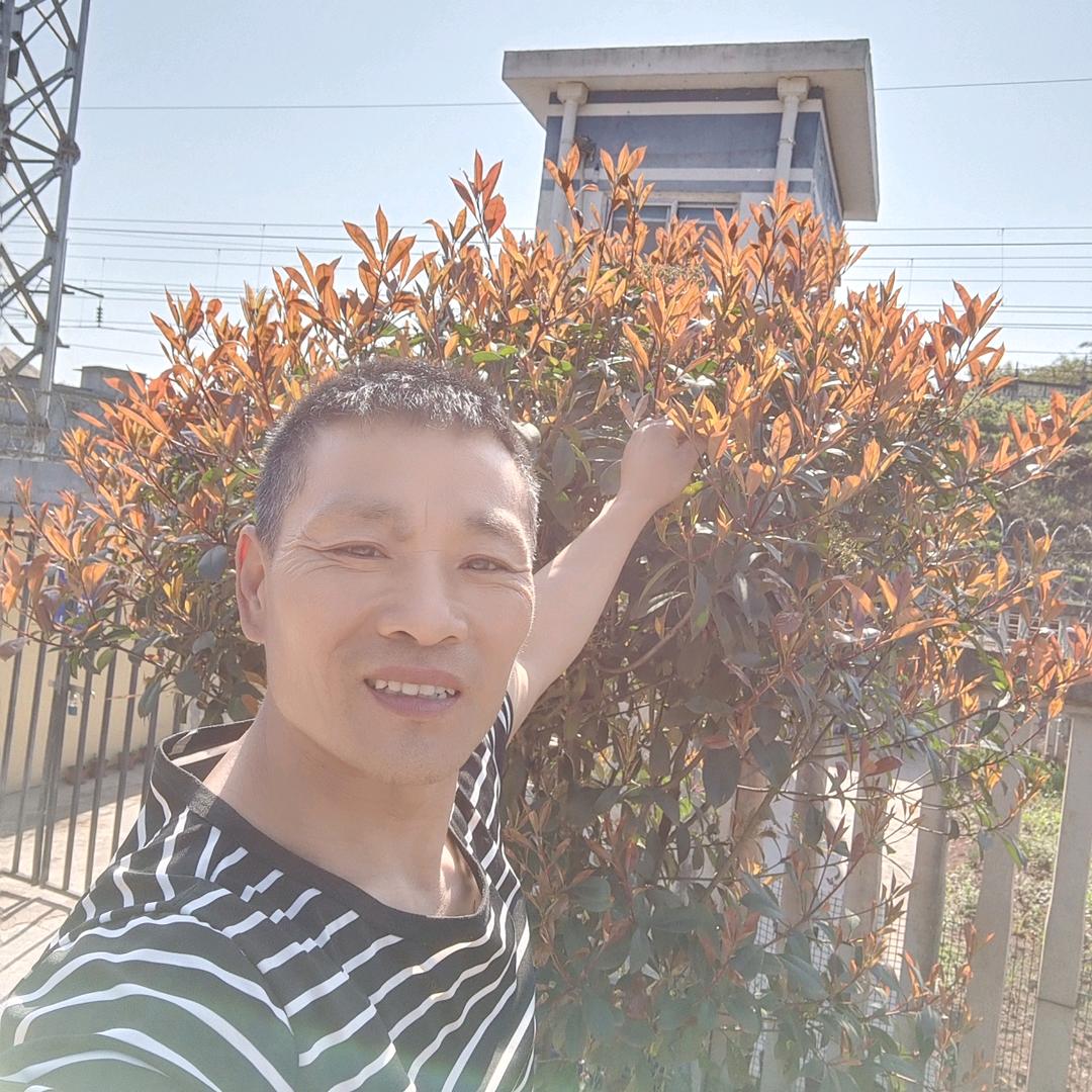 美好时光