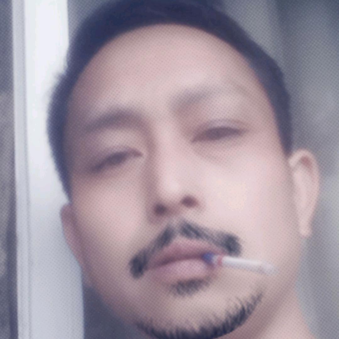 十八子搬砖狼