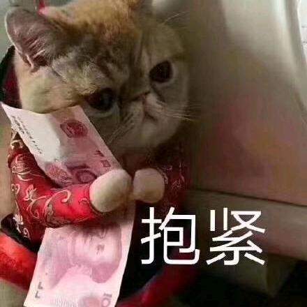 小懒猫