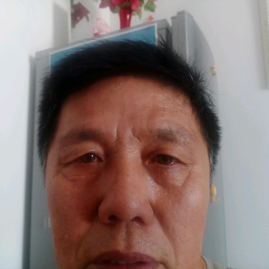 二狗，蛇年吉祥