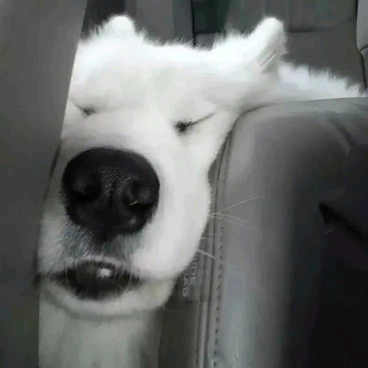 以默
