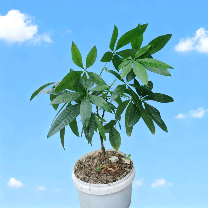 彭泽艺源，美发，