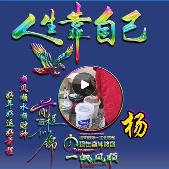 自由的飞翔