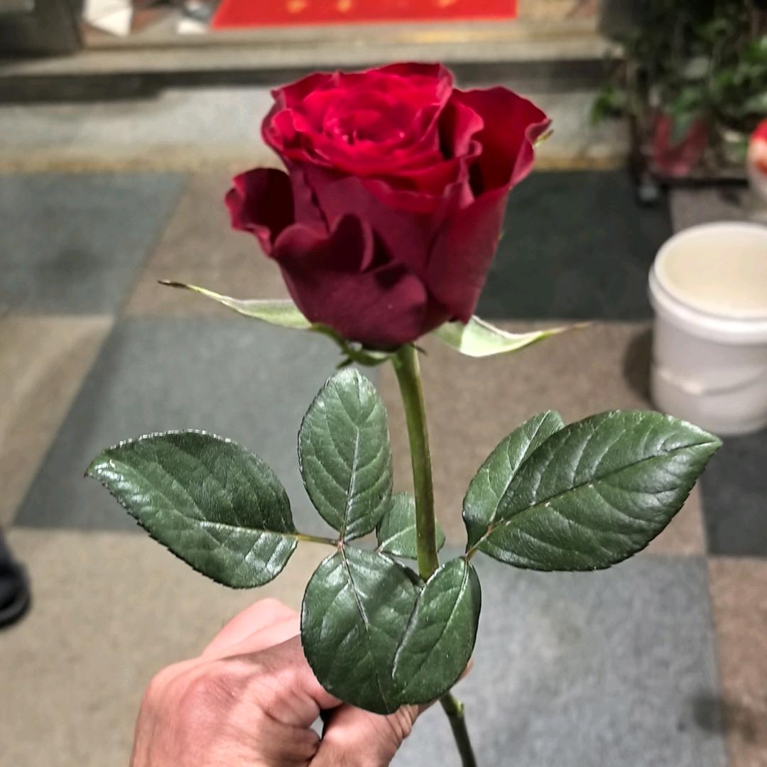 盛加兴购销部我喜欢