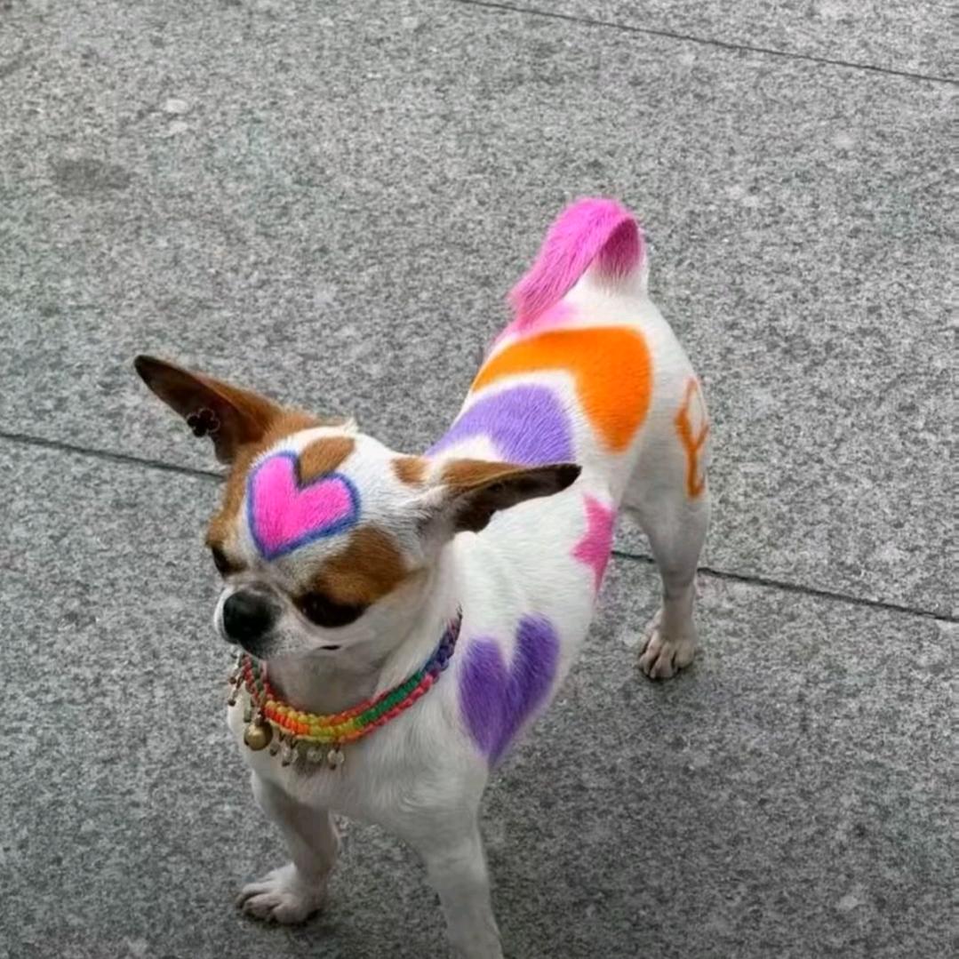 黄子韬全宇宙最帅