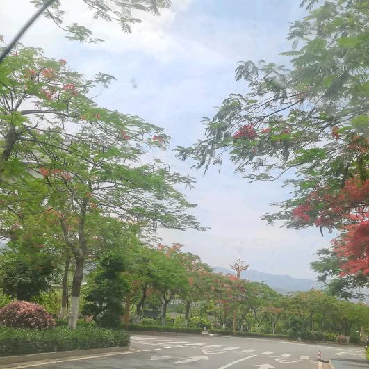 এ᭄ོ人生苦短，不服就干ꦿ࿐