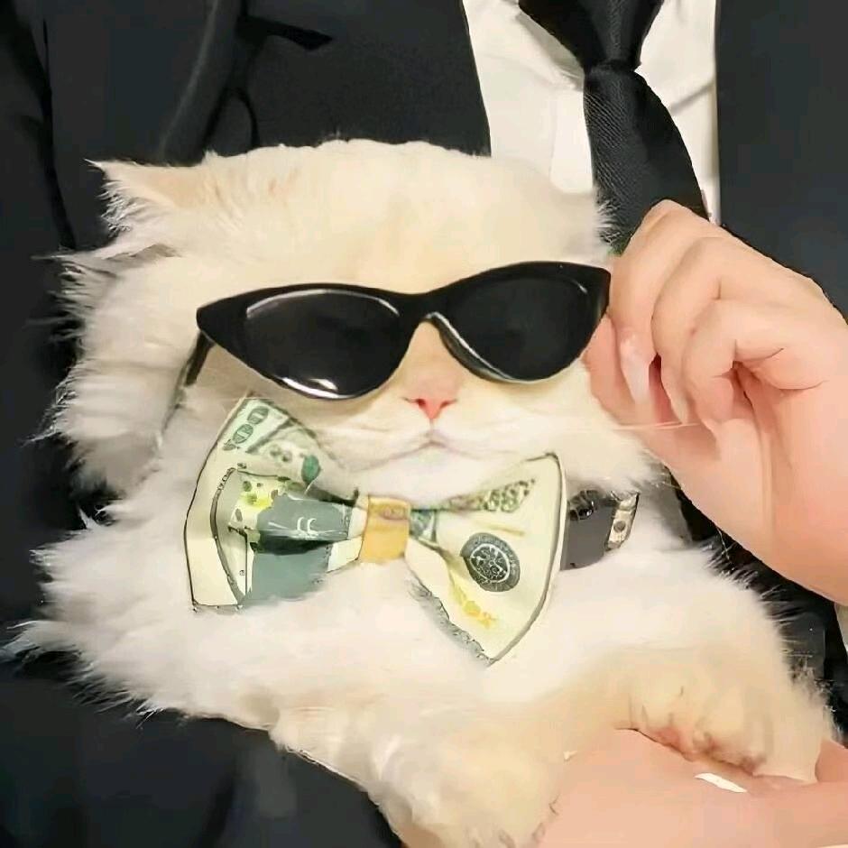 留不住的人我送你走