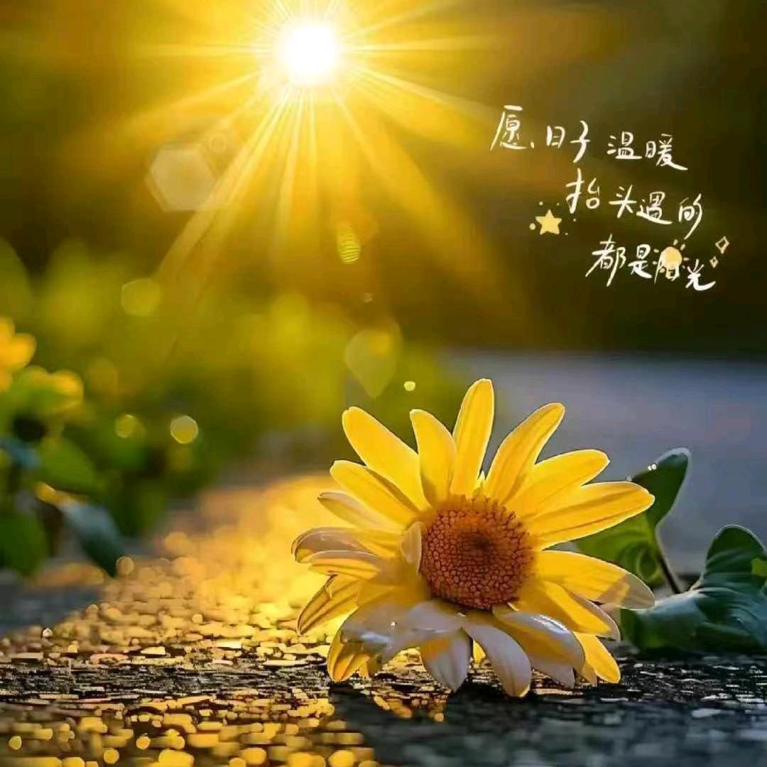 媛来是你