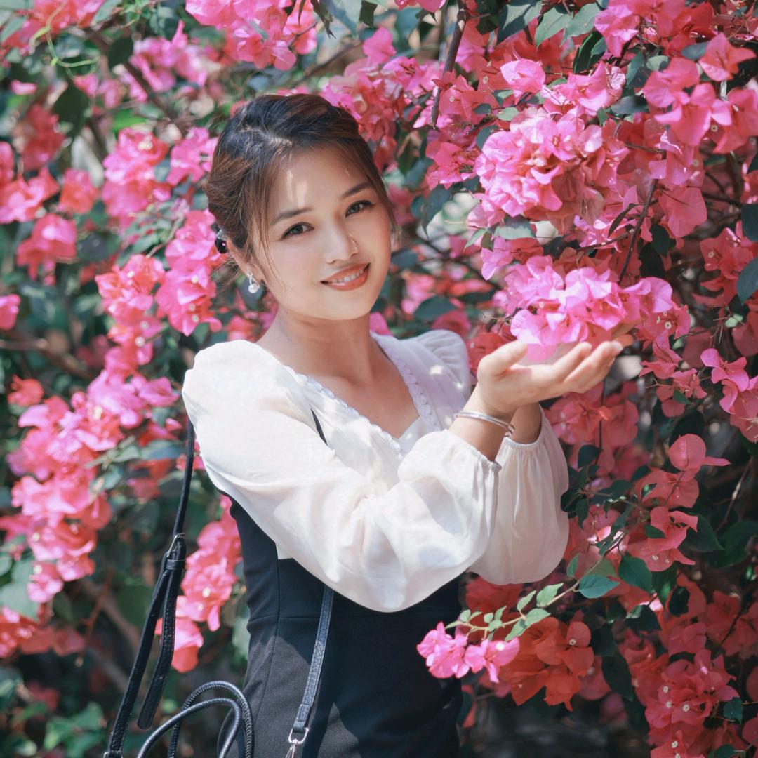 💰金碧辉黄💰