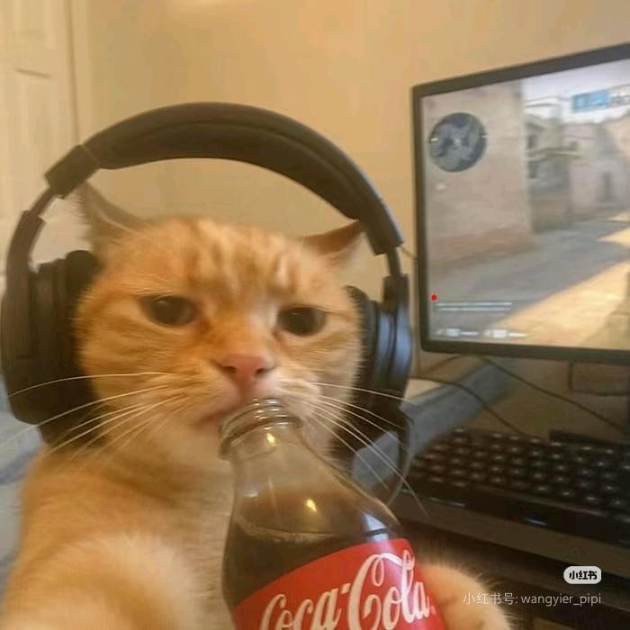 KKKkkk蛋堡