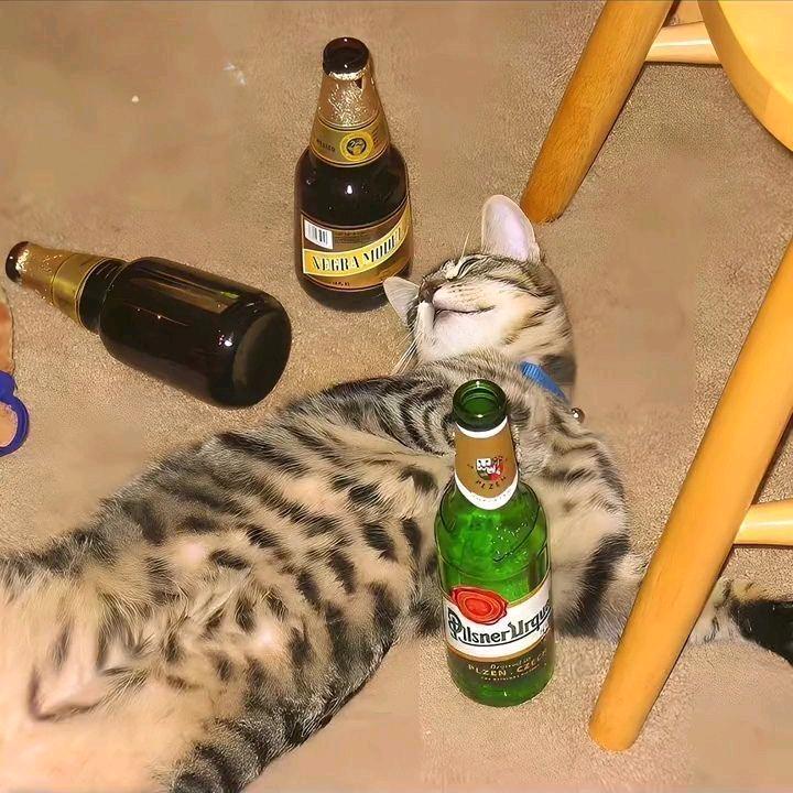 左右
