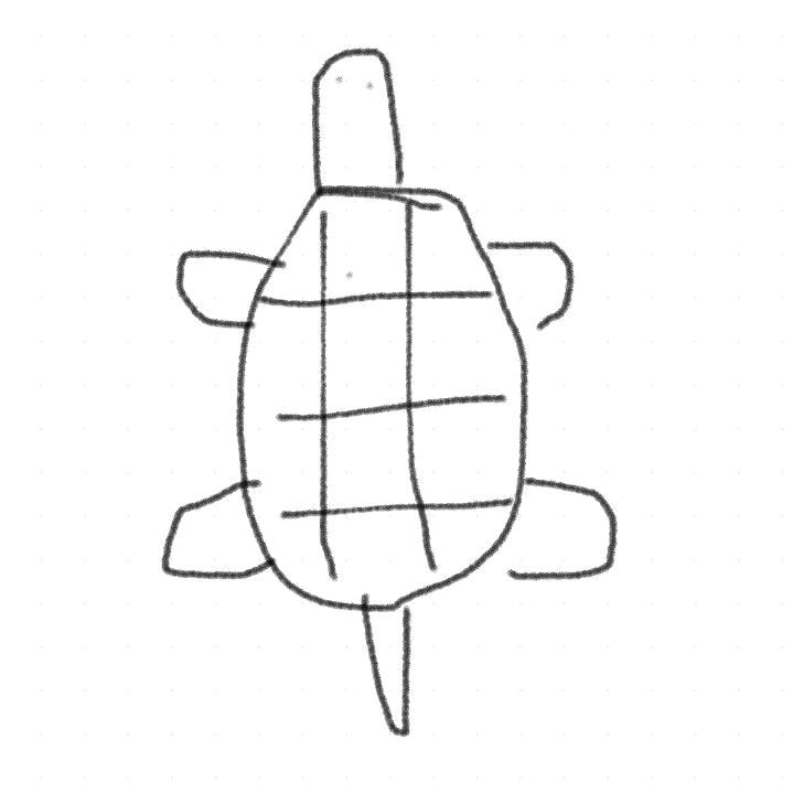 一只沉稳的乌龟