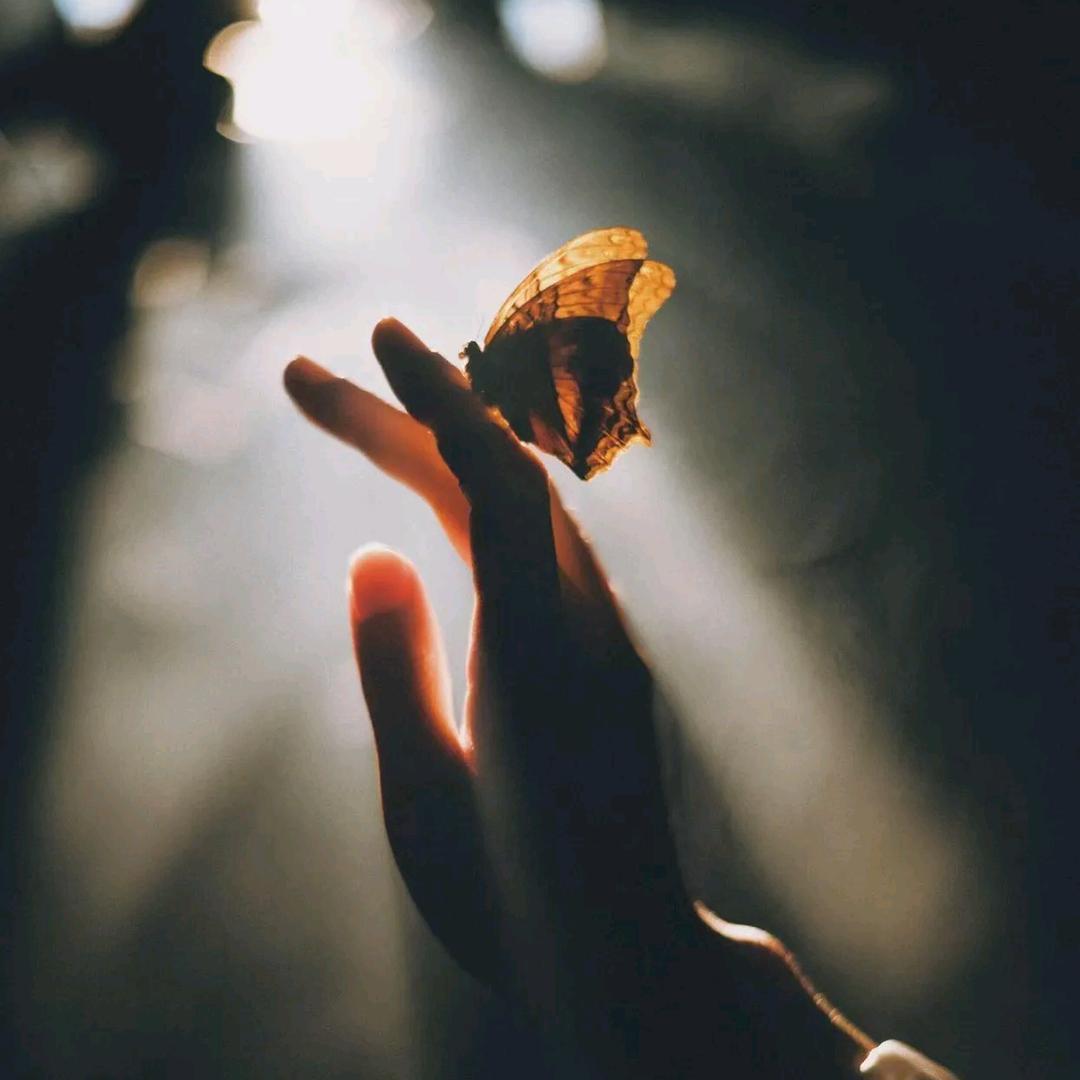 🦋এChen᭄🦋Xiangএ᭄