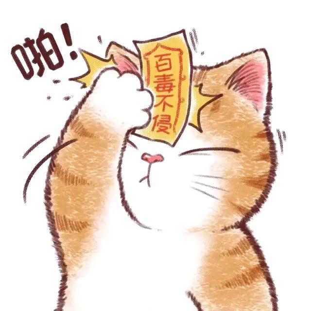 魂殇