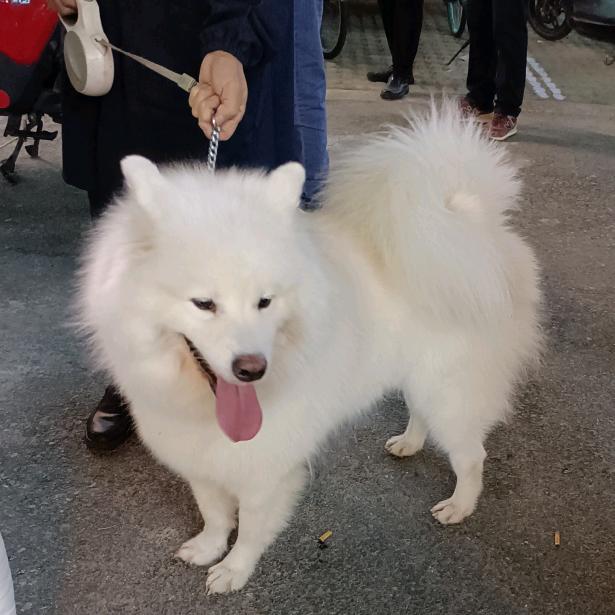 不锈钢台面  橱柜