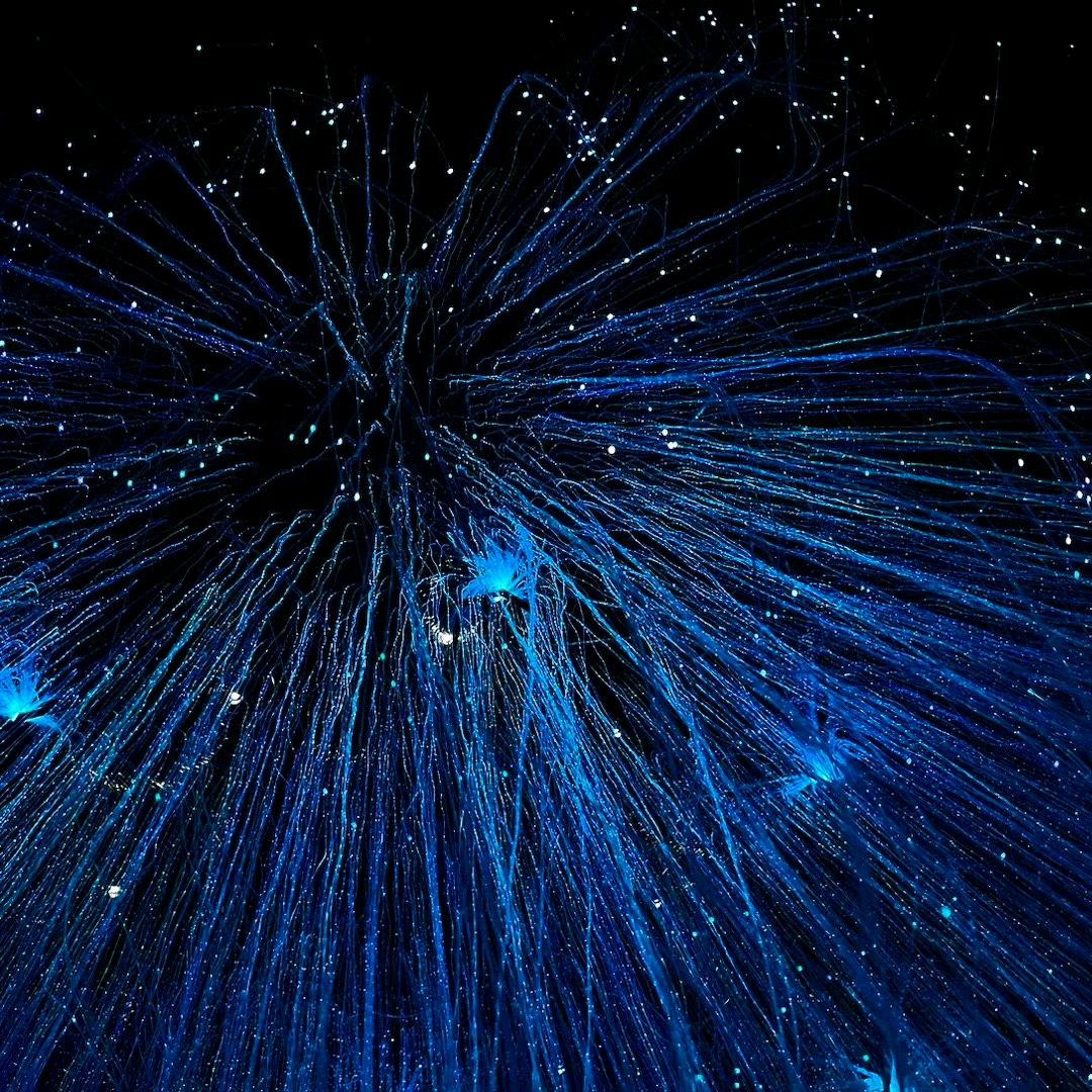 别管我！我要把书读烂！