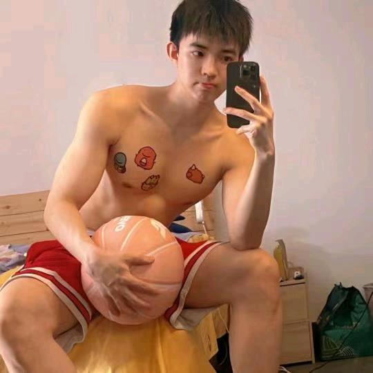 望舒a