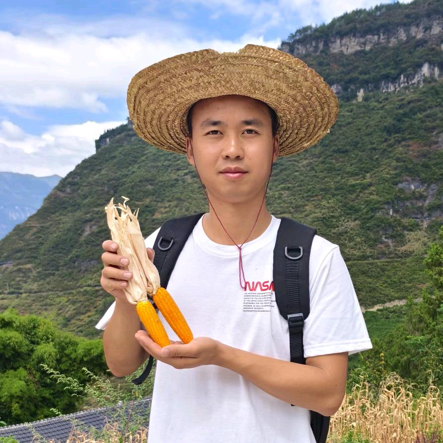 山里娃梁纹沧老品种