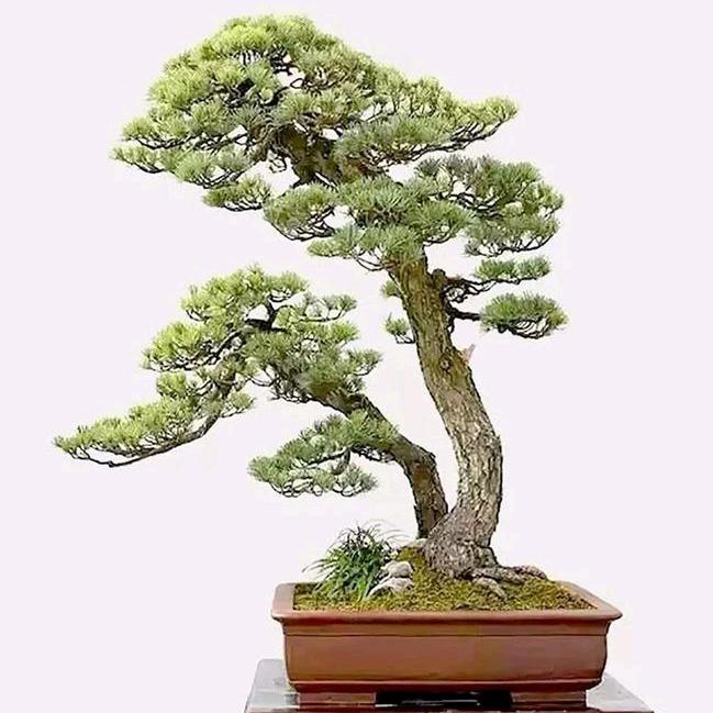 易县杰轩工艺品
