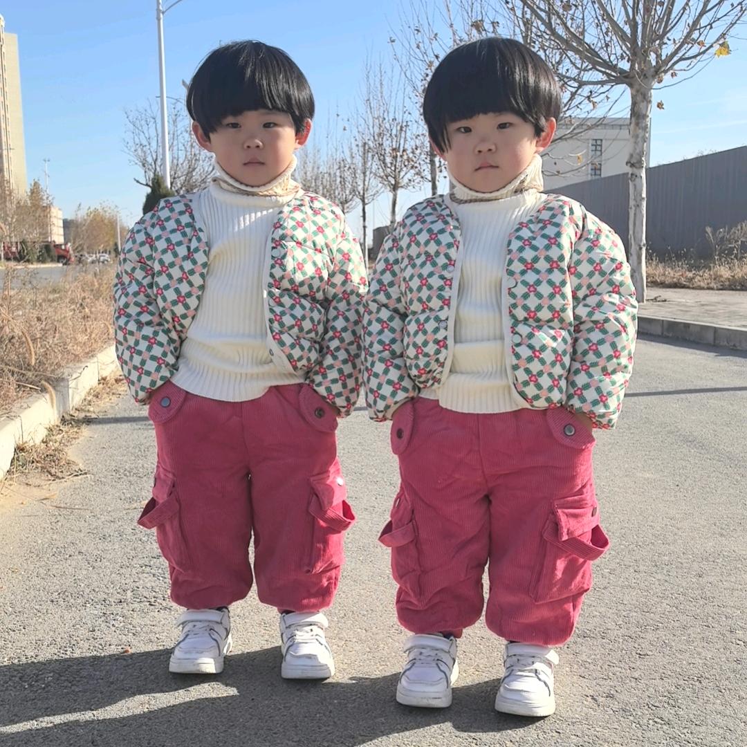 大宝 小宝（双胞胎）