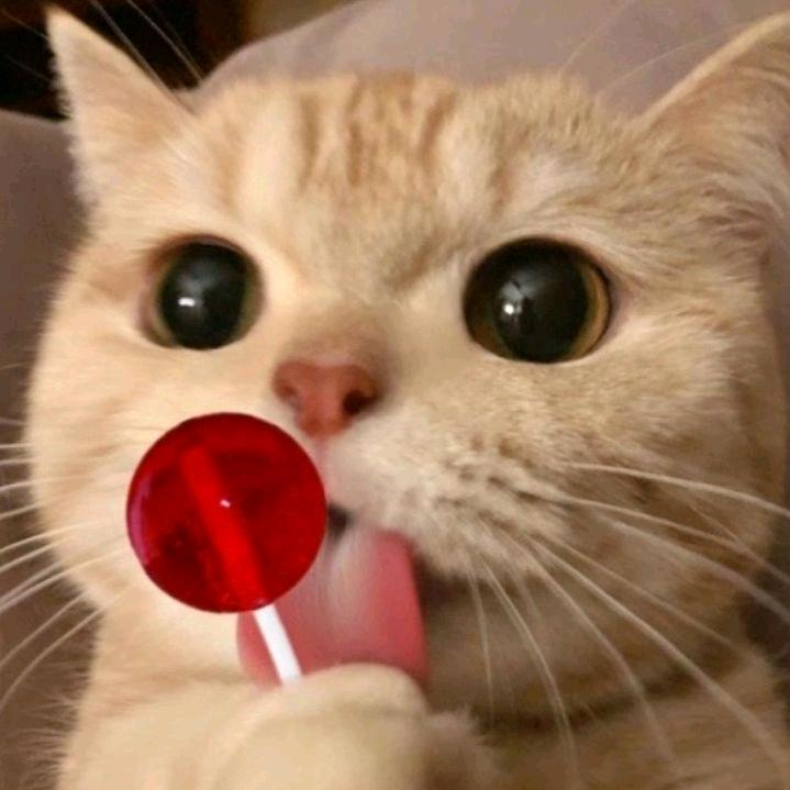 楼下有个杨国福