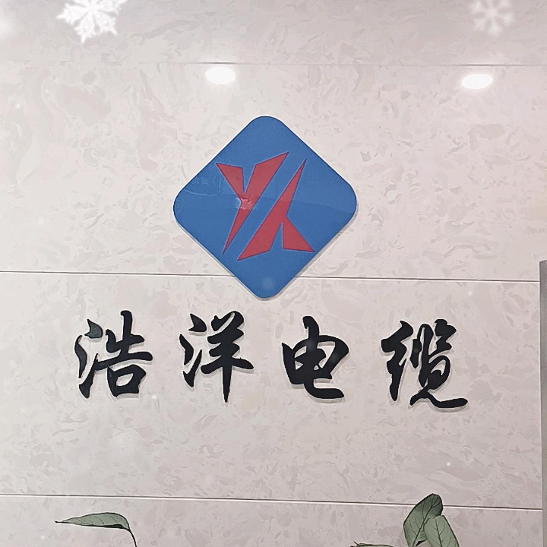 浩洋电缆企业店