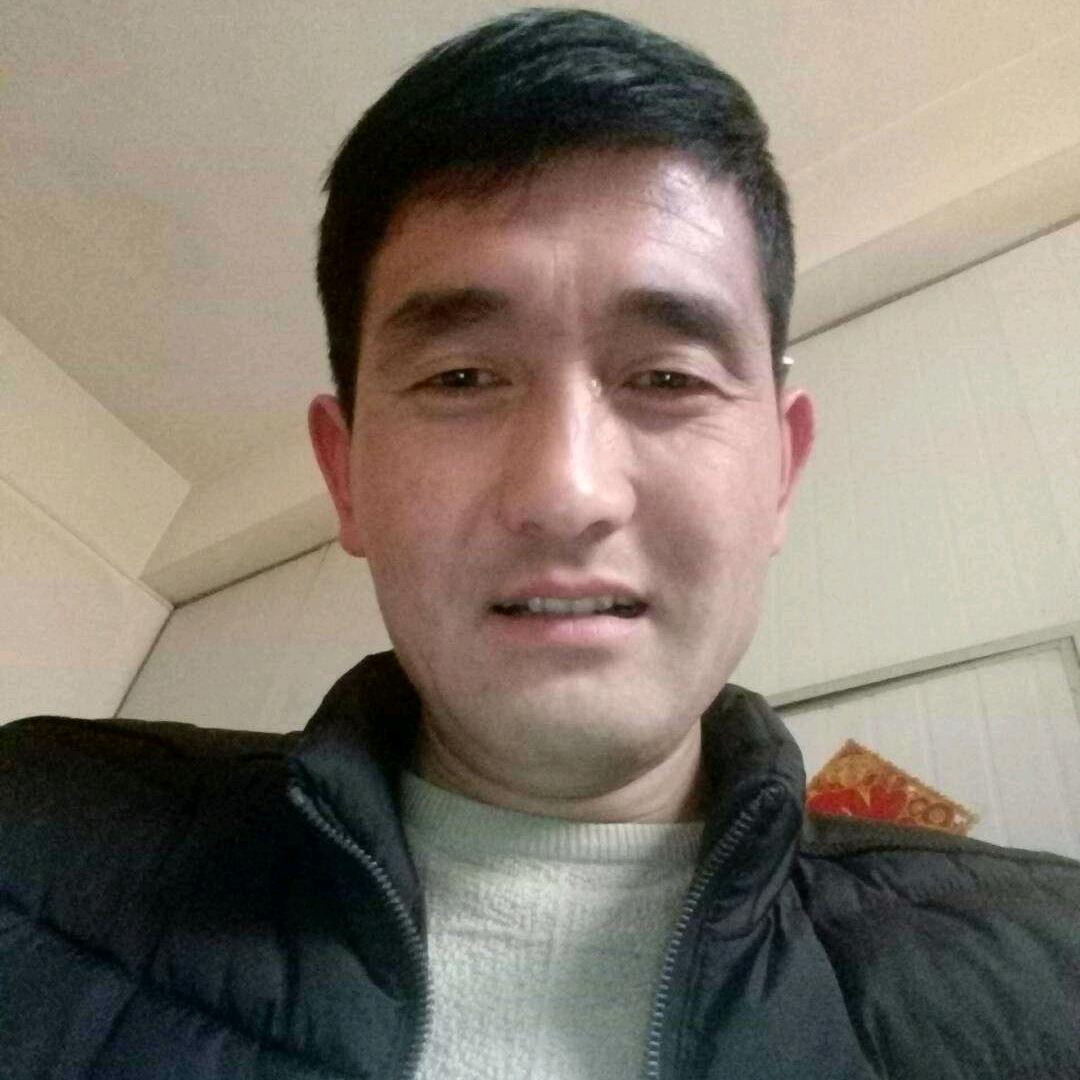 洛川🍎代办龙哥《代销山西中怀纯羊粪》