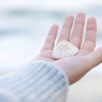 白首起家🌞🌞