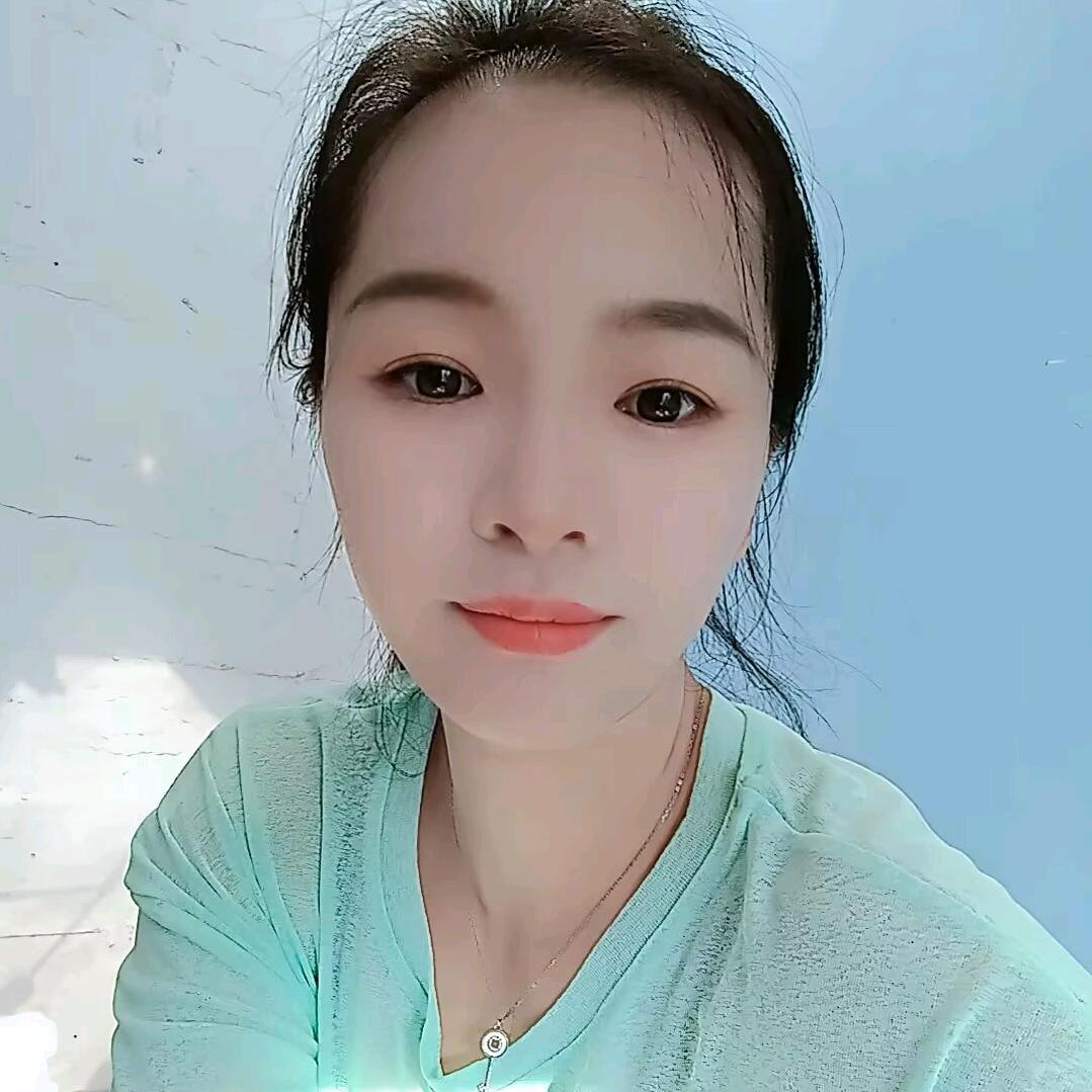 藤田新日电动车