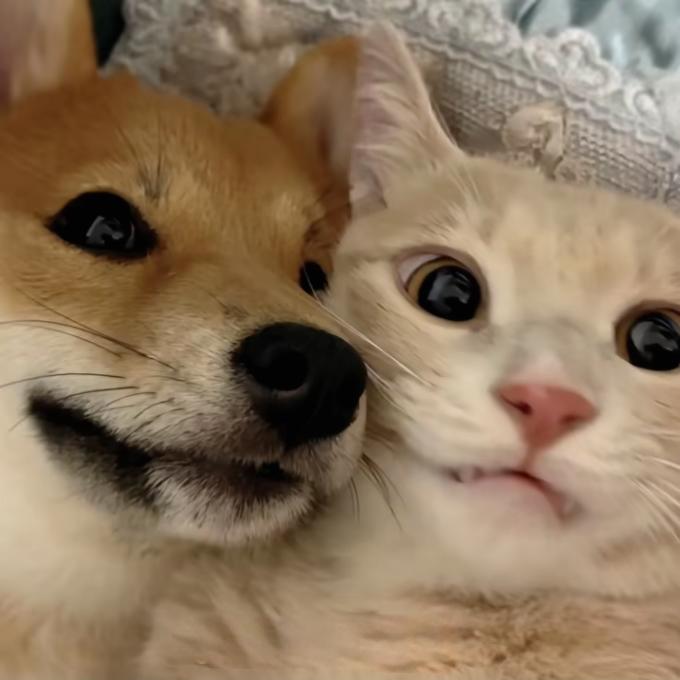 🔆